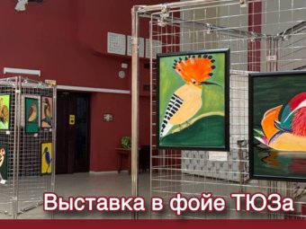 В ТЮЗе открылась выставка астраханской художницы.
