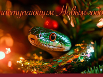 С наступающим Новым годом!