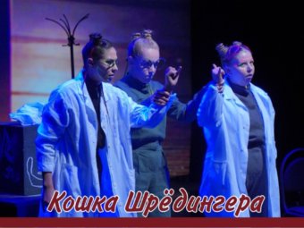 Сегодня весь мир отмечает День кошек
