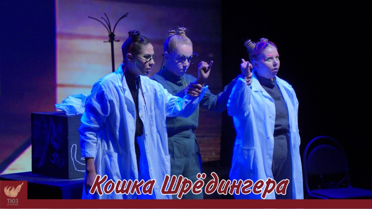 Сегодня весь мир отмечает День кошек